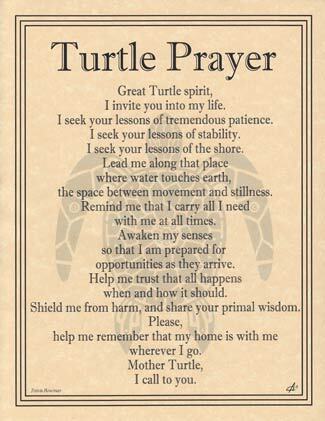 Turtle Prayer poster