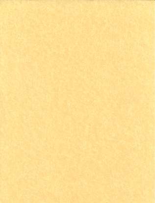 Light Parchment 5 Pack (8 1/2" x 11")